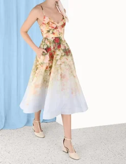 Luminosity Picnic Dress