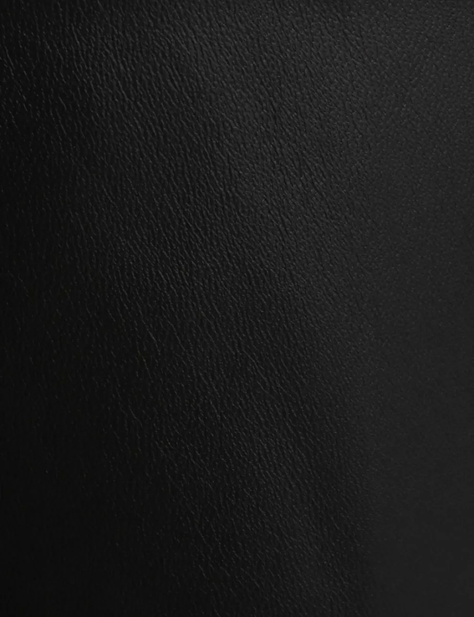 Luminosity Wide Leather Pant